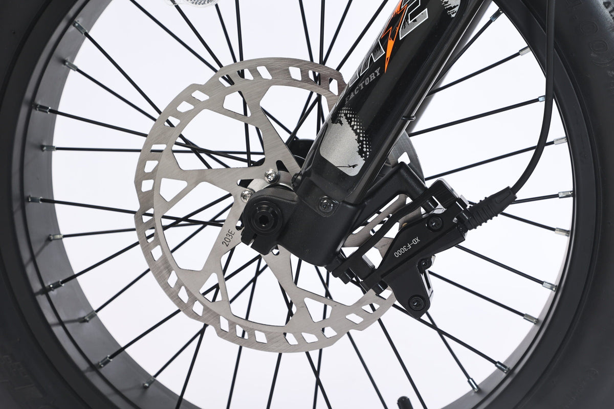 GhostCat F3X front brake rotor