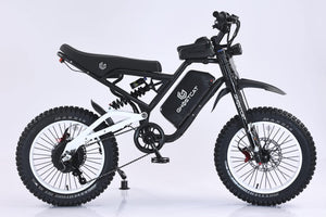 GHOSTCAT F4X Pro - Dirt - GHOST|F4X Pro|25 ah|White eBike Super Shop