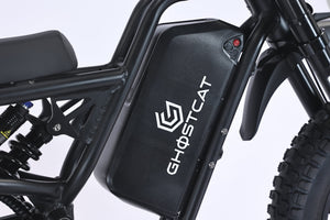GhostCat F4X battery close-up