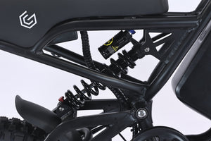 GhostCat F4X rear shock and controller