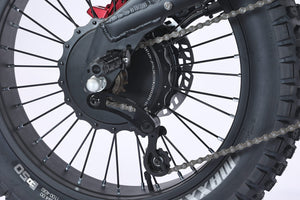 GhostCat F4X rear hub motor