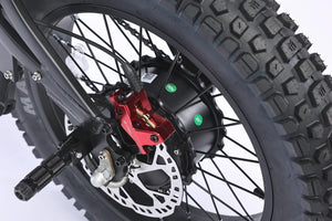 GhostCat F4X rear motor torque clamp and brake