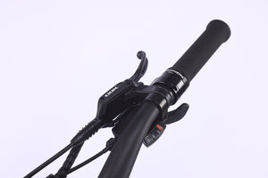 GhostCat Saber S1 shifter and grip