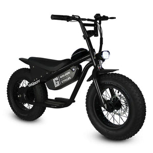 GOLDEN CYCLE Big Boy 350w Micro eBike 16x4 Fat Electric Mini Fat Tire eBike - Mini eBike - GOLDE|MINI|BLACK|0307 eBike Super Shop