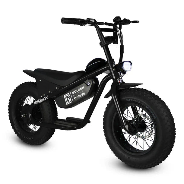 GOLDEN CYCLE Big Boy 350w Micro eBike 16x4 Fat Electric Mini Fat Tire eBike - Mini eBike - GOLDE|MINI|BLACK|0307 eBike Super Shop