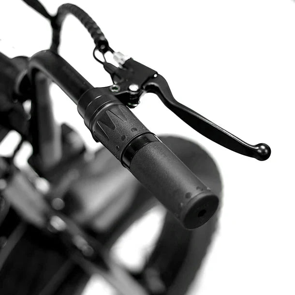 GOLDEN CYCLE Big Boy 350w Micro eBike 16x4 Fat Electric Mini Fat Tire eBike - Mini eBike - GOLDE|MINI|RED|0306 eBike Super Shop