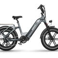 HIMIWAY Big Dog 750 w Step Thru Ebike 20x4 Fat Electric Cargo eBike