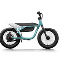 HIMIWAY C1 Kids E-Bike 350 w Step Over Ebike 16x3 Fat Electric Mini Fat Tire eBike