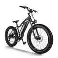 HIMIWAY Cruiser D3 750 w Step Over Ebike 26x4 Fat Fat Tire Electric Beach Cruiser eBike