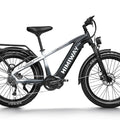 HIMIWAY Zebra D5 750 w Step Over Ebike 26x4 Fat Electric Fat Tire Mountain eBike