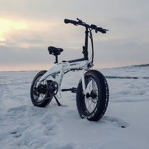 JUPITER Folding Fat Tire eBike Defiant - Folding Step Over 750 w Electric Folding eBike - Folding Ebike - JUPIT|BLACK|1836 eBike Super Shop