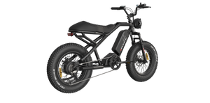 eMOTO RAEV Bullet SE Electric e-Moto Style eBike-Moto 500 w Electric Pit Bike Product Image 14