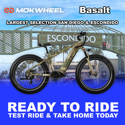 eBike Mokwheel Basalt - Camo - Ready to Ride