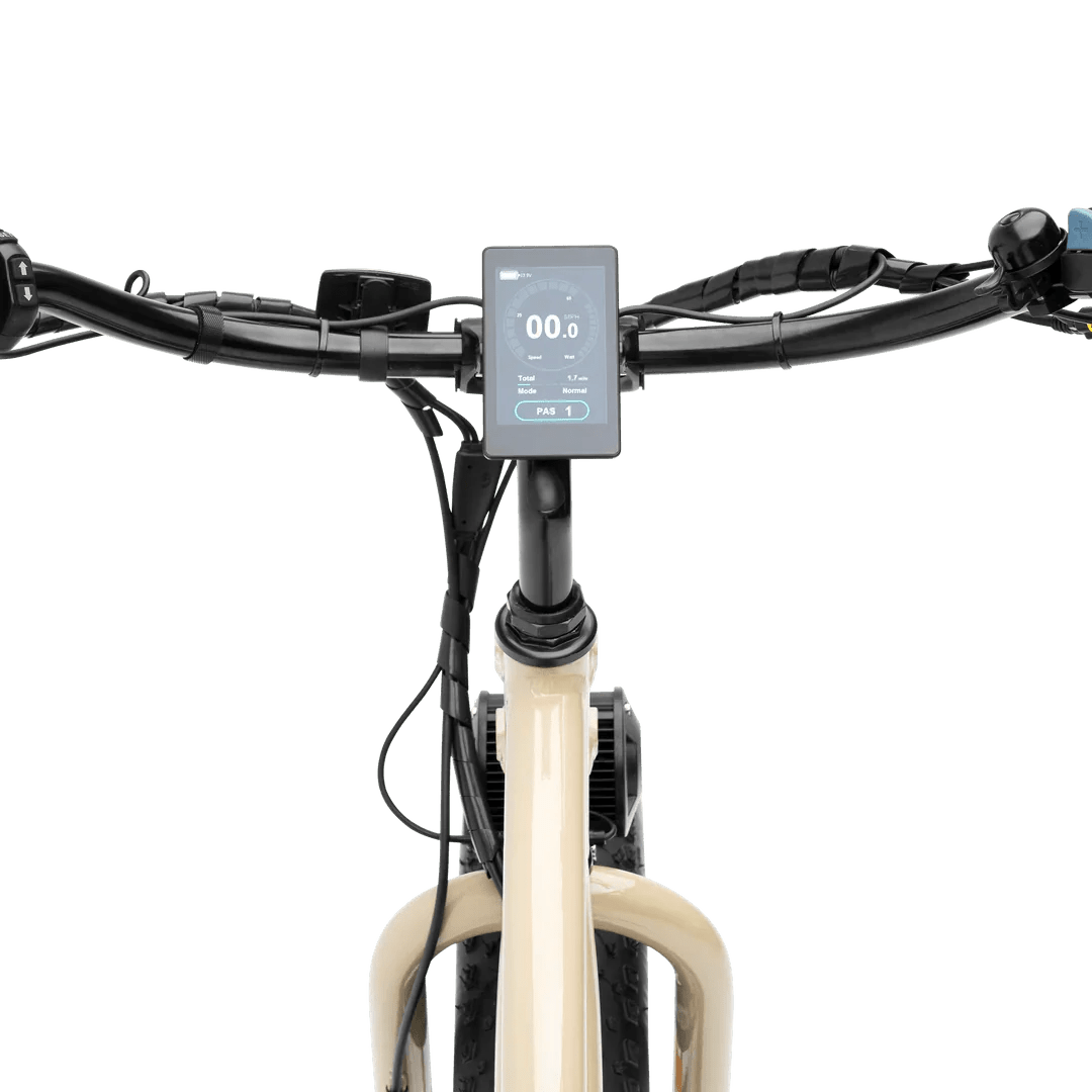 MURF Alpha Cargo Fat Tire Electric Cargo Beach Cruiser eBike - 52v 750 w Electric Cargo eBike - Cargo eBike - MURF|BLACK|2305 eBike Super Shop