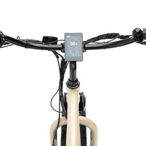 MURF Alpha Cargo Fat Tire Electric Cargo Beach Cruiser eBike - 52v 750 w Electric Cargo eBike - Cargo eBike - MURF|BLACK|2305 eBike Super Shop
