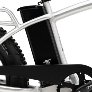 MURF Electric Urban eBike Higgs - 52v 750 w Fat Tire Electric Beach Cruiser eBike - Fat Tire Cruiser eBike - MURF| Higgs BLACK|2289 eBike Super Shop