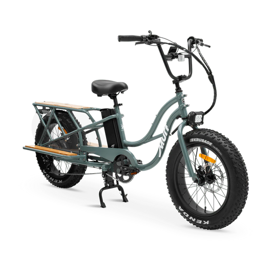 MURF Higgs Cargo Fat Tire Electric Cargo Beach Cruiser eBike - 52v 750 w Electric Cargo eBike - Cargo eBike - MURF|SEABR|2303 eBike Super Shop