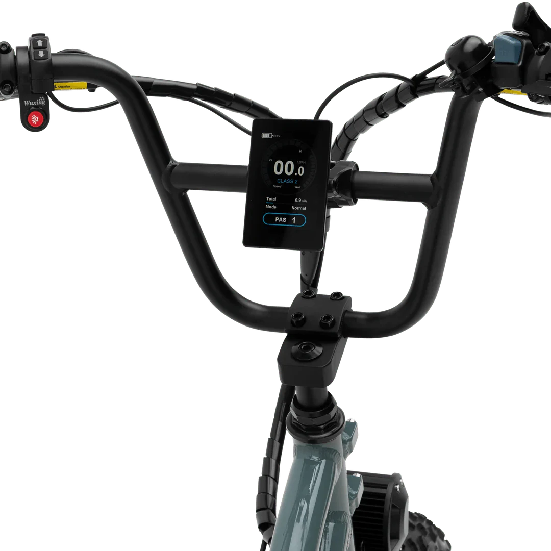 MURF Higgs Cargo Fat Tire Electric Cargo Beach Cruiser eBike - 52v 750 w Electric Cargo eBike - Cargo eBike - MURF|BLACK|2302 eBike Super Shop