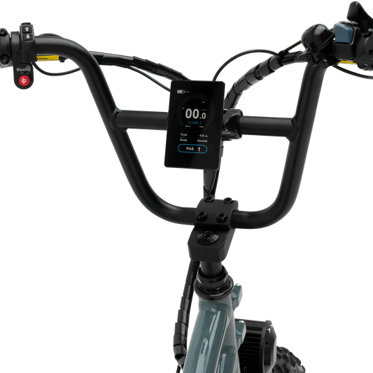 MURF Higgs Cargo Fat Tire Electric Cargo Beach Cruiser eBike - 52v 750 w Electric Cargo eBike - Cargo eBike - MURF|BLACK|2302 eBike Super Shop