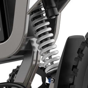 Rear shock absorber for R19 model, black and silver, cylindrical with mounting brackets on both ends, photographed against a plain background.