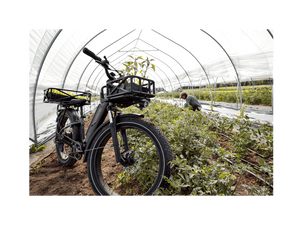RadRover™ 6 Plus Electric Fat Tire Bike - Electric Bike - 101 - 00065 eBike Super Shop