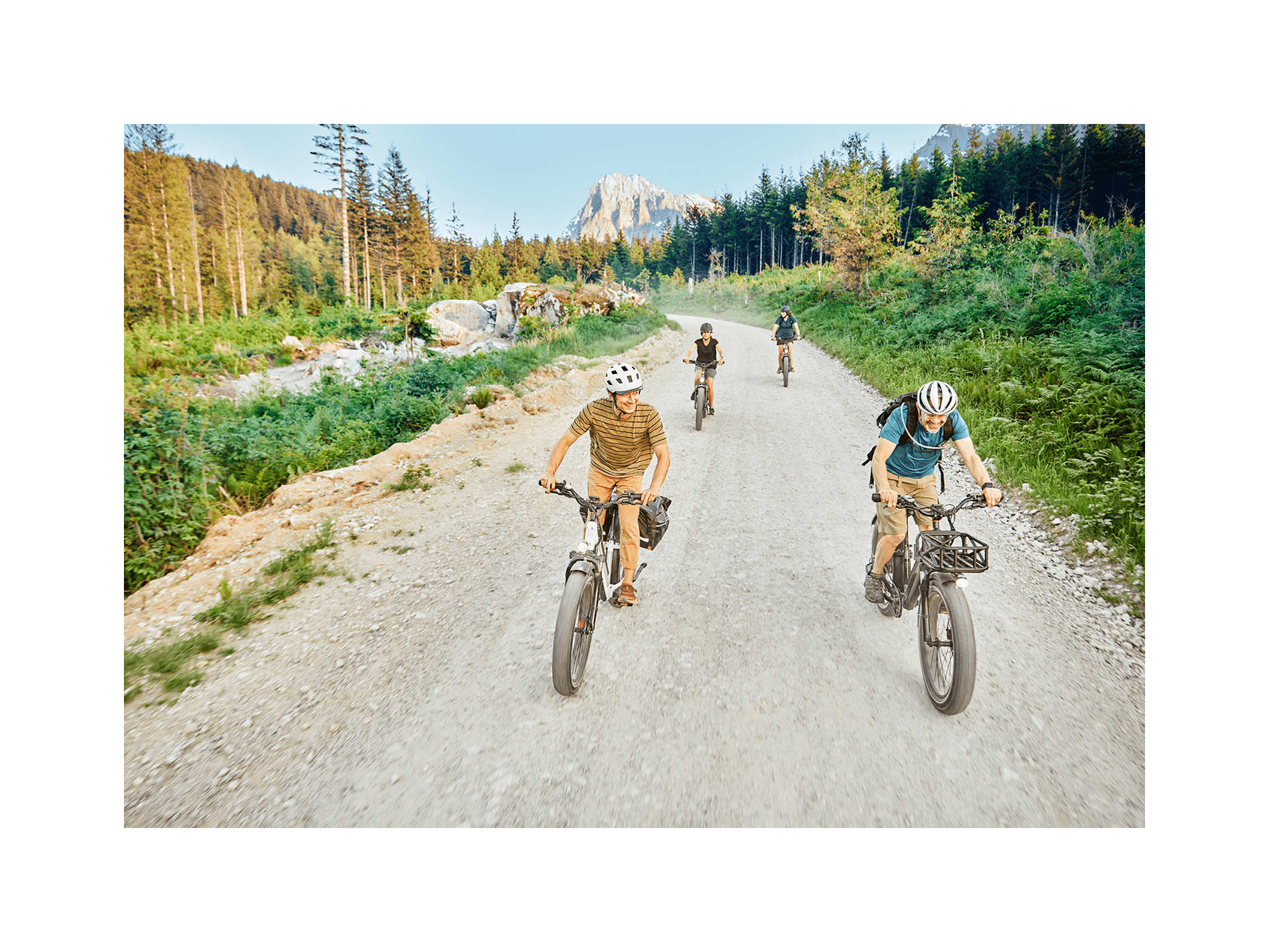 RadRover™ 6 Plus Electric Fat Tire Bike - Electric Bike - 101 - 00065 eBike Super Shop