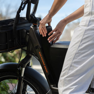 RadRunner 3/RadRunner Max Console - Accessories - 200 - 00175 eBike Super Shop