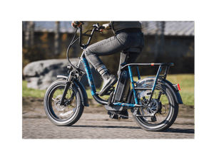 RadRunner™ Plus Electric Cargo Utility Bike - Electric Bike - 106-00065 eBike Super Shop