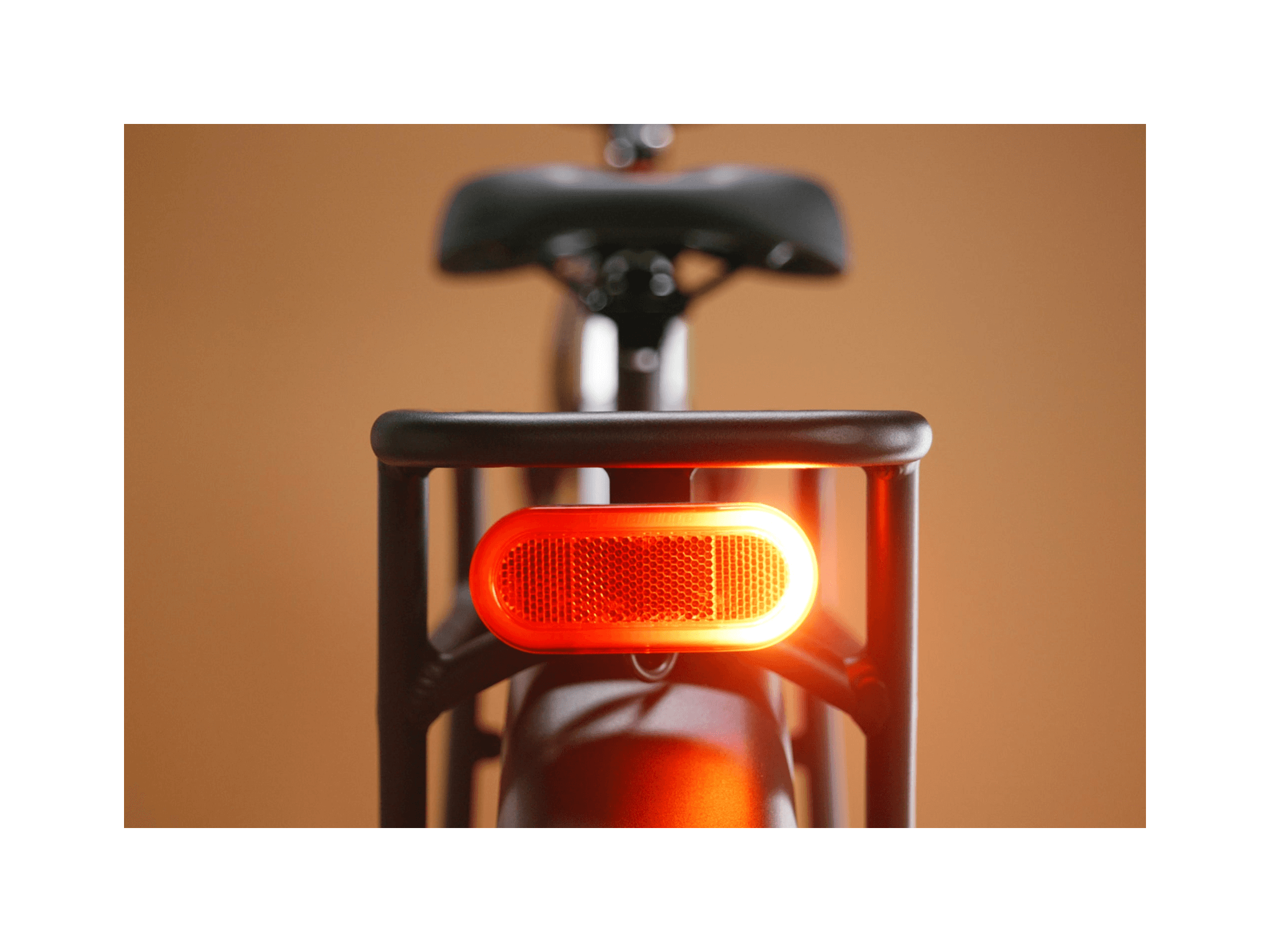 Radster™ Trail Electric Off - Road Bike - Electric Bike - 109 - 00003 eBike Super Shop