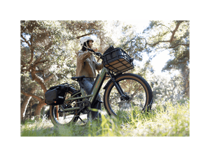 Radster™ Trail Electric Off - Road Bike - Electric Bike - 109 - 00003 eBike Super Shop
