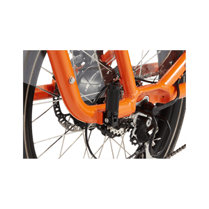 RadWagon 4 Passenger Pegs - Accessories - 200 - 00102 eBike Super Shop