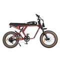 eBike Revi Cougar Pro