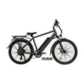 eBike Revi Oasis.2 ST - Antracit - In Box