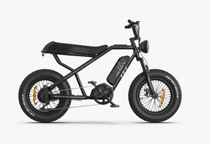 eMOTO RAEV Bullet X Emoto eBike 750W electric bike in black, side view, displayed on a white background
