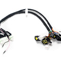Stomp Ebox EBX wiring harness showing multiple colored wires with connectors attached, designed for motorcycle electrical systems.