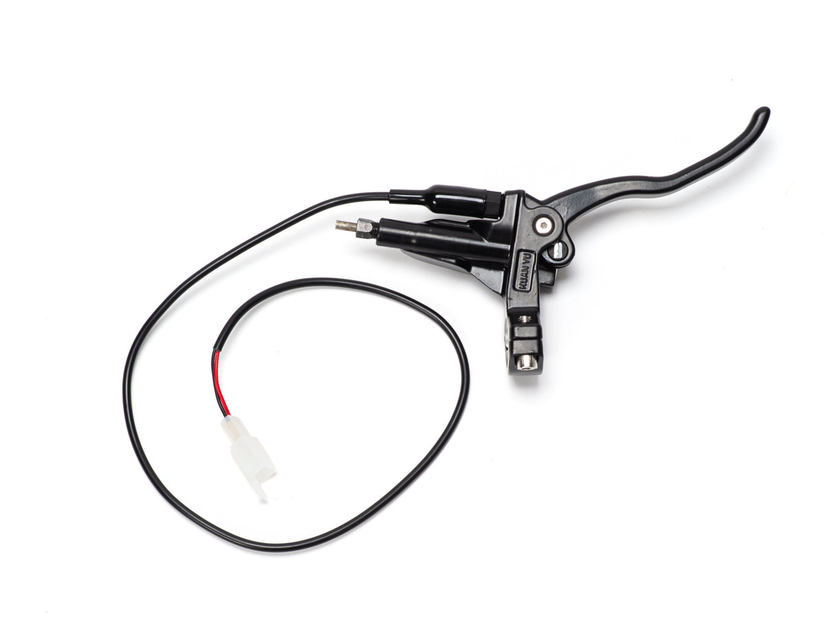 Stomp Ebox rear brake lever and master cylinder, side view showing metal lever attached to hydraulic master cylinder with mounting bracket and connecting rod.