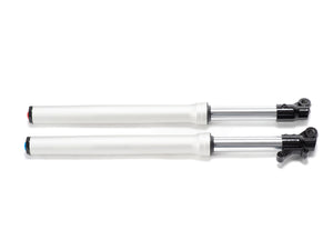Front view of the Stomp Ebox V2 600mm USD fork, showing the suspension components and metallic finish against a plain background.