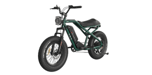 eMOTO RAEV Bullet SE Electric e-Moto Style eBike-Moto 500 w Electric Pit Bike Product Image 883