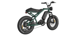 eMOTO RAEV Bullet SE Electric e-Moto Style eBike-Moto 500 w Electric Pit Bike Product Image 8