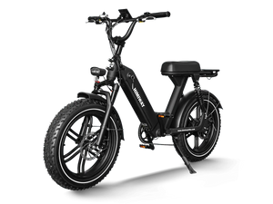 Side view of the Himiway Escape Pro eBike parked outdoors, showcasing its sturdy frame, fat tires, and rear cargo rack.