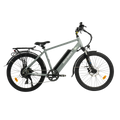 Gray eBike Revi Oasis.2 electric bicycle side view on white background